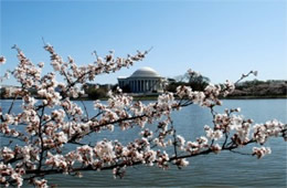 Jefferson Memorial