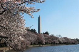 Washington Monument