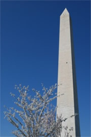 Washington Monument