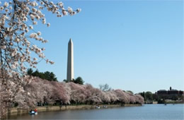 Washington Monument