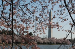 Washington Monument