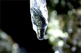 Melting Icicle