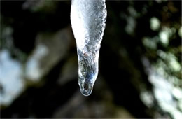 Melting Icicle