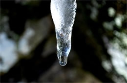 Melting Icicle