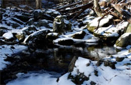 Snowy Pool in a Mountain Stream