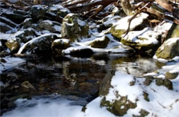 Snowy Pool in a Mountain Stream